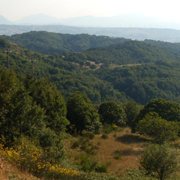 Boschi della montagna di Trevico immagine Boschi della montagna di Trevico