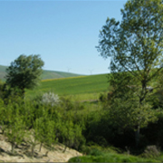 Paesaggio della Baronia immagine paesaggio della baronia