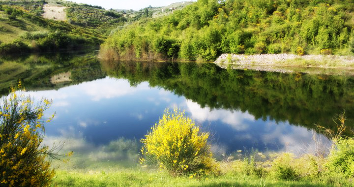 Immagine Boschi e Sorgenti della Baronia